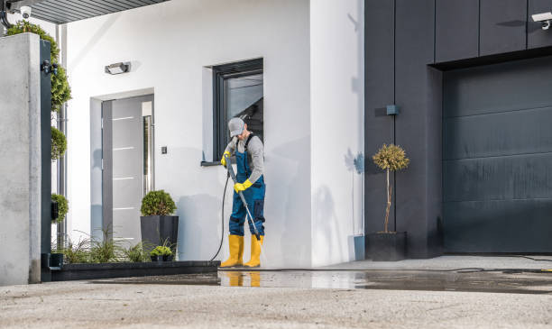 Best Building Exterior Washing  in Buffalo, TX